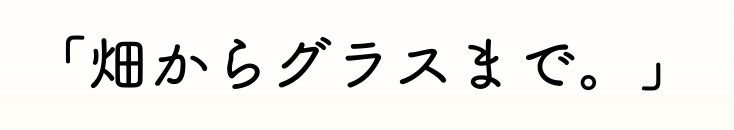 パンフレット更新しました！